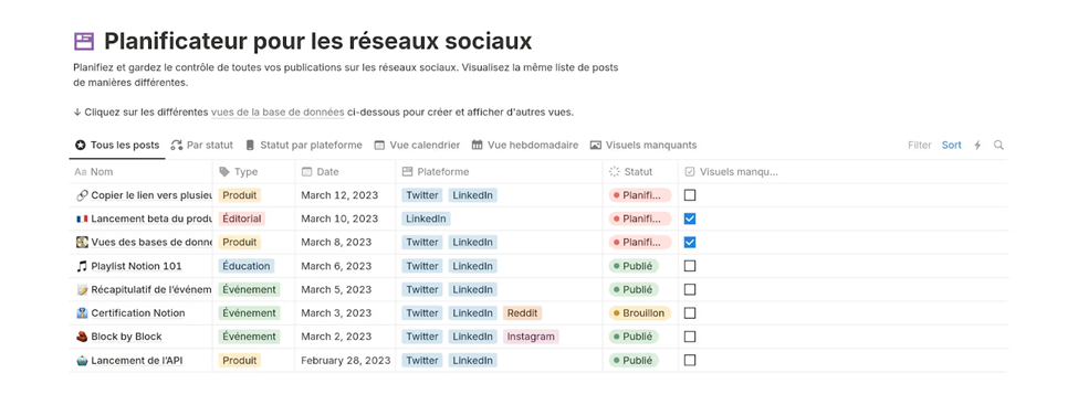 Modèle Notion de gestionnaire de contenu social gratuit